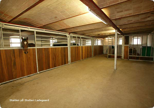 test - //