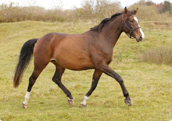 test - //
